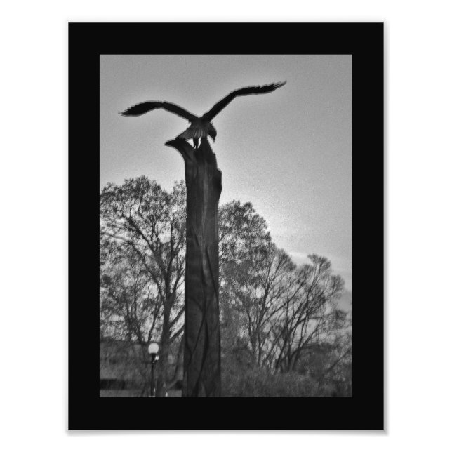 La Crosse Eagle Photo Print (Front)