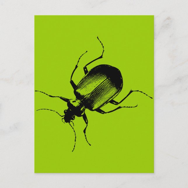 La Cucaracha Postcard (Front)