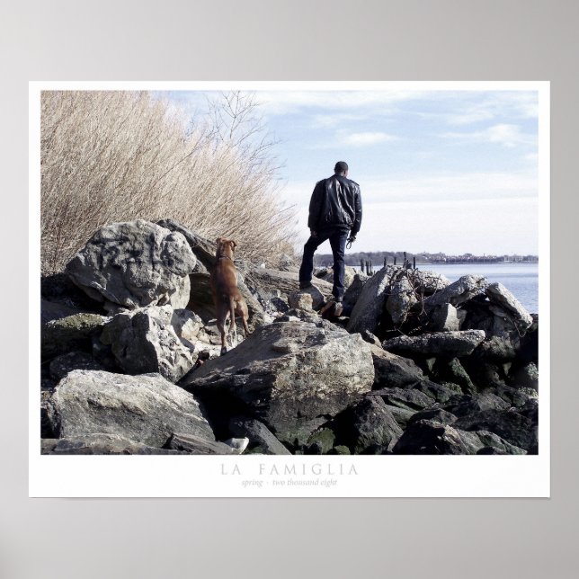 la famiglia poster (Front)