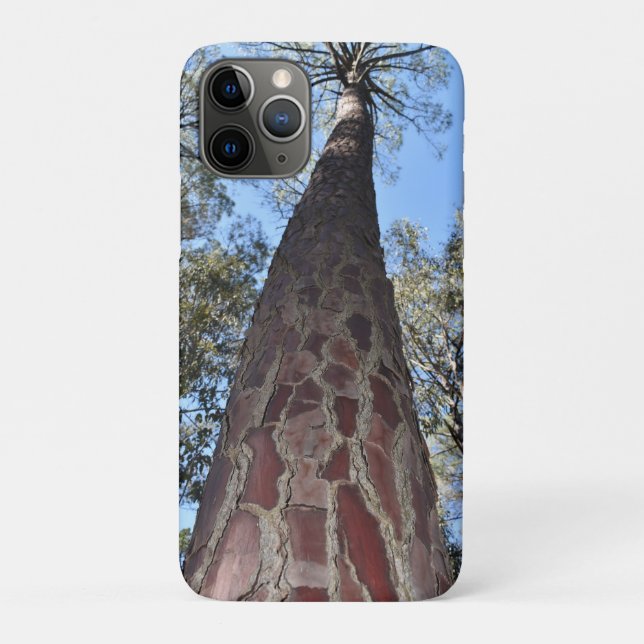 La Gerche Ponderosa Pine iPhone/iPad Cover (Back)