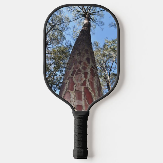 La Gerche Ponderosa Pine Pickleball Paddle (Back)