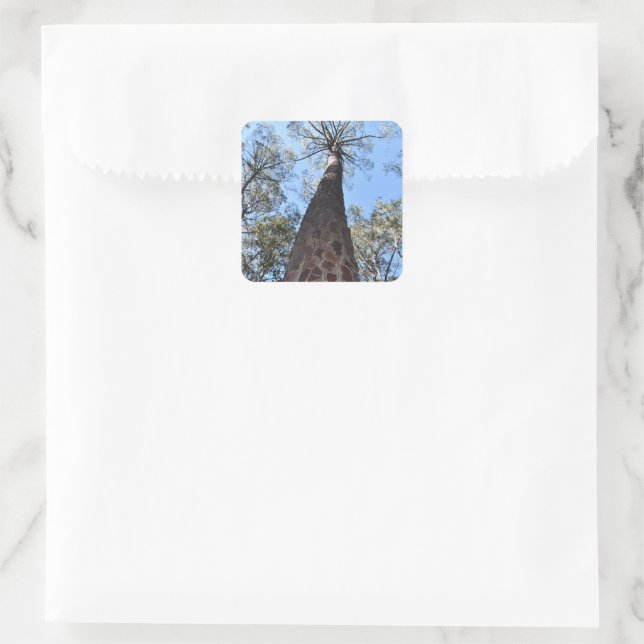 La Gerche Ponderosa Pine Sticker (Bag)