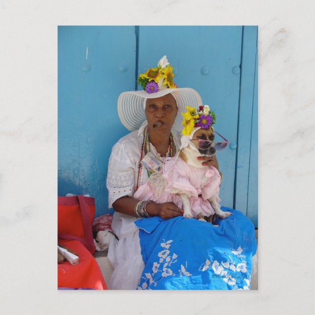 La Habana Cuba Postcard (Front)