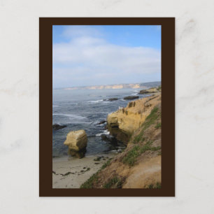 La Jolla Beach Seabirds Custom California Postcard