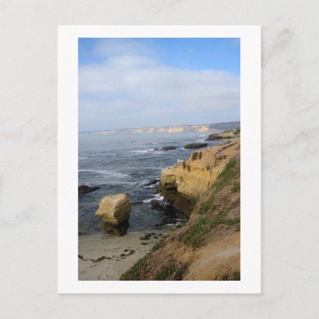 La Jolla Beach Seabirds Custom California Postcard (Front)