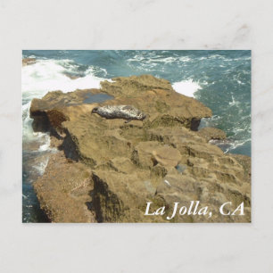La Jolla, CA Postcard