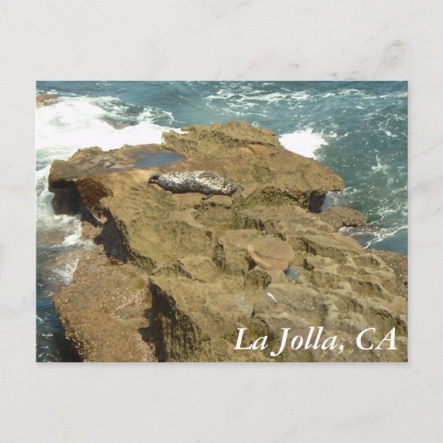 La Jolla, CA Postcard (Front)