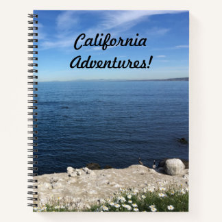 La Jolla, California Notebook