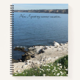 La Jolla, California Notebook