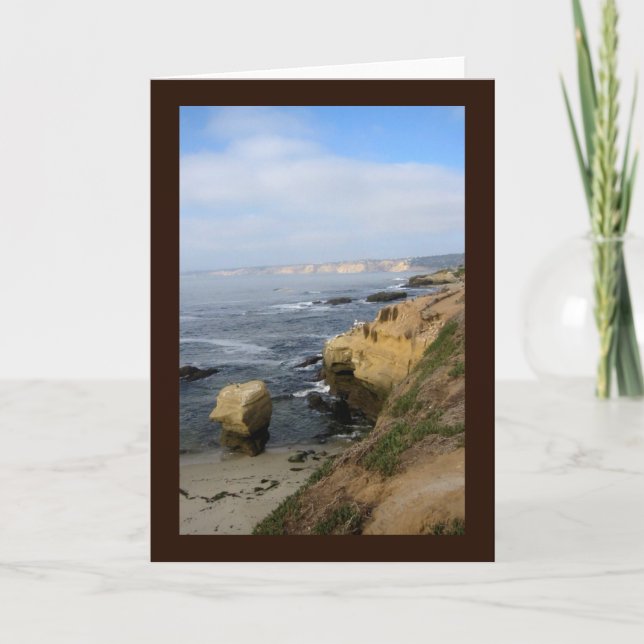 La Jolla Cove Beach Seabirds Custom Greeting Card (Front)