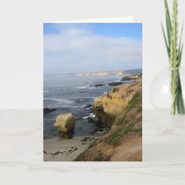 La Jolla Cove Beach Seabirds Custom Greeting Cards (Front)