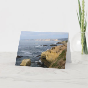 La Jolla Cove Beach Seabirds Custom Greeting Cards