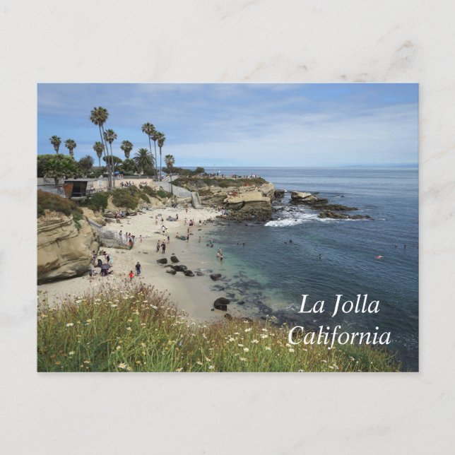 La Jolla Cove in California Postcard (Front)