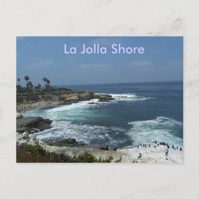 La Jolla Shore Postcard (Front)