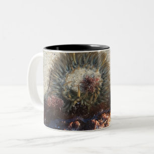 La Jolla Tide Pool Anemone Two-Tone Coffee Mug