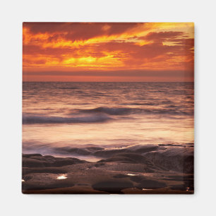 La Jolla Tide Pools Magnet