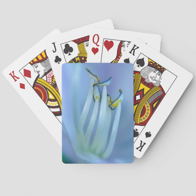 La La Land  Playing Cards (Back)