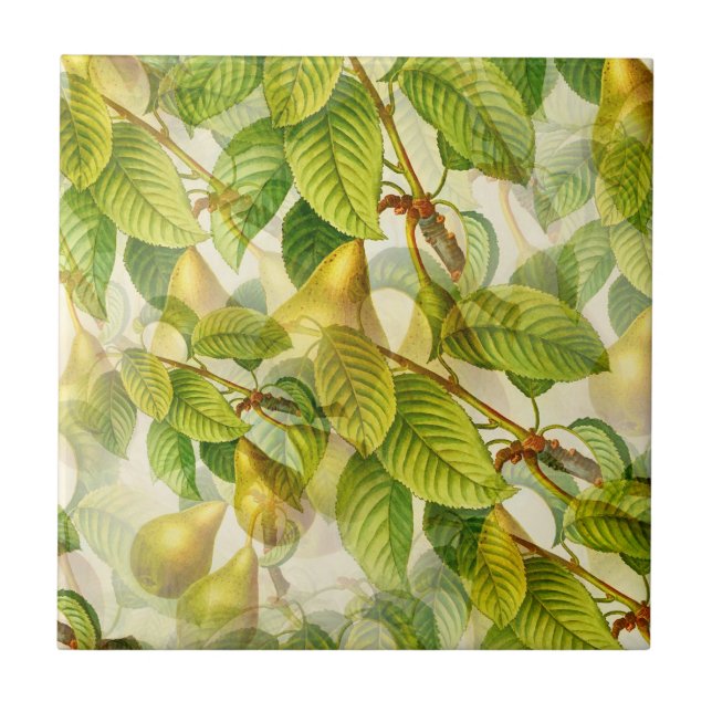 La Pera Pear Ceramic Tile (Front)