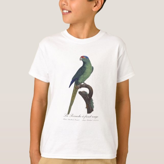 La Perruche a front rouge  T-Shirt (Front)