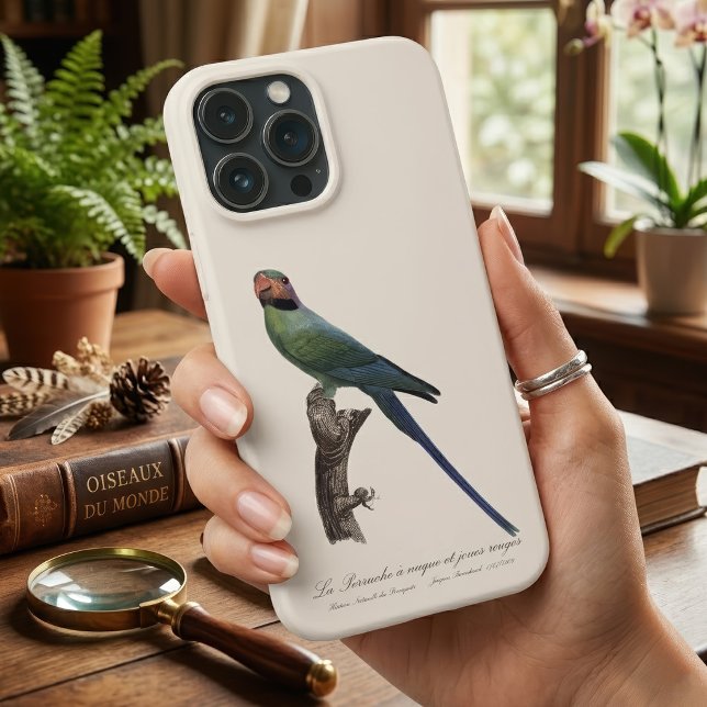 La Perruche a nuque et joues rouges  Case-Mate iPhone Case (Long-Tailed Parakeet, Psittacula Longicauda. iPhone Case)