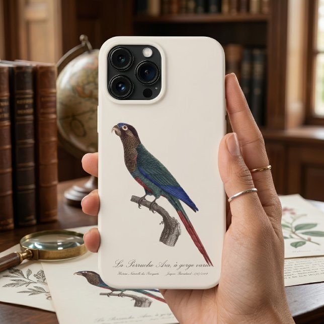 La Perruche Ara, a gorge variee  Case-Mate iPhone Case (The Painted Parakeet, Pyrrhura Picta. iPhone Case)