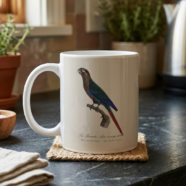 La Perruche Ara, a gorge variee  Coffee Mug (The Painted Parakeet, Pyrrhura Picta. Coffee Mug)