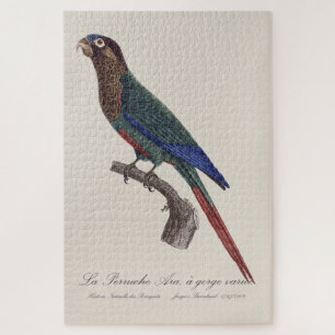 La Perruche Ara, a gorge variee  Jigsaw Puzzle