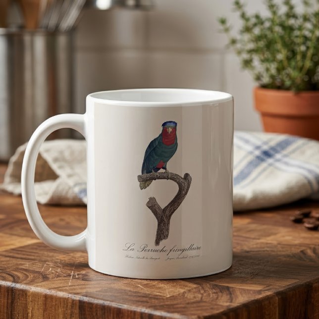 La Perruche fringillaire  Coffee Mug (Blue-Crowned Lorikeet, Vini Australis. Coffee Mug)