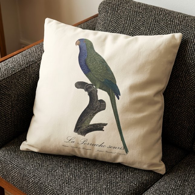 La Perruche souris / Monk Parakeet  Cushion (Monk Parakeet or Monk Parrot, Myiopsitta Monachus. Throw Pillow)