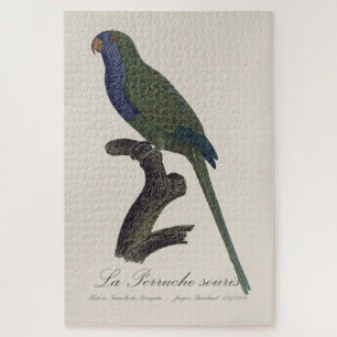 La Perruche souris / Monk Parakeet  Jigsaw Puzzle