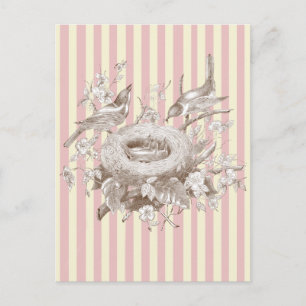 La Petite Famille on pink and cream background Postcard