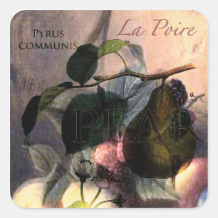 La Poire #2 Square Sticker