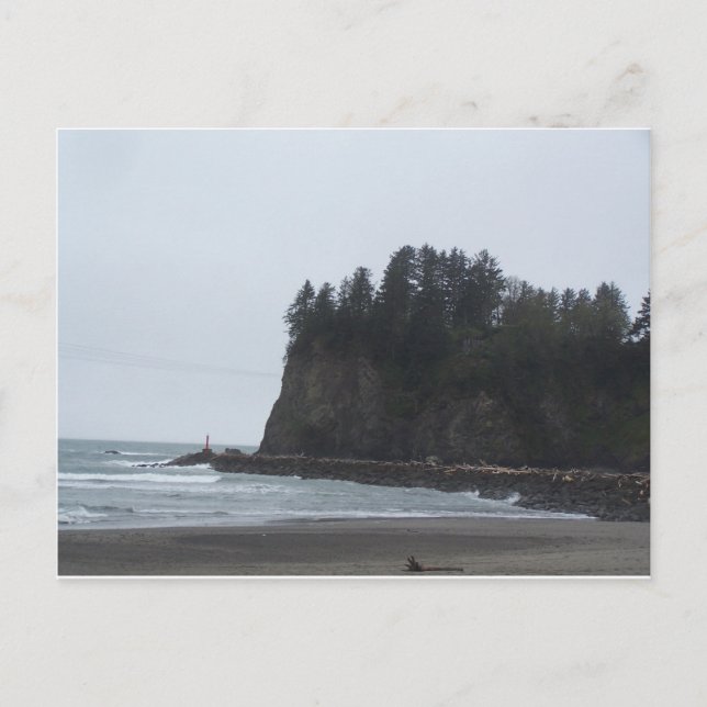 La Push Beach Postcard (Front)