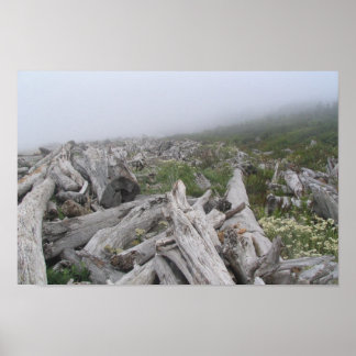 La Push, Pacific Coast — WA Poster