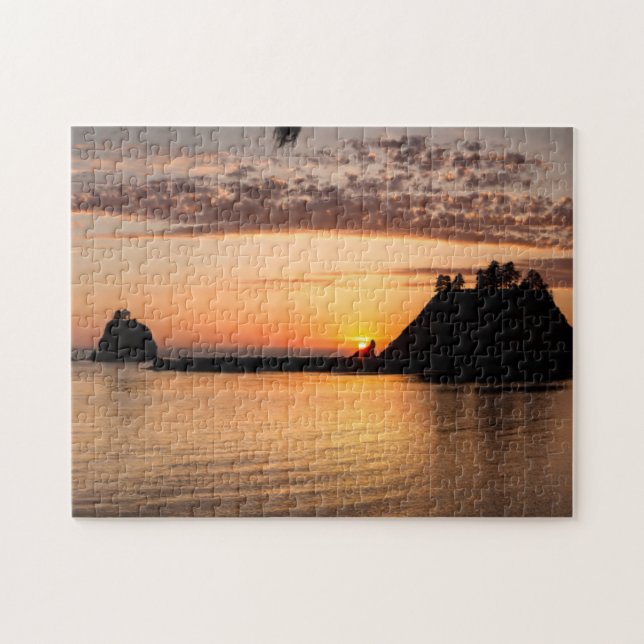 La Push, Washington. Panorama Jigsaw Puzzle (Horizontal)