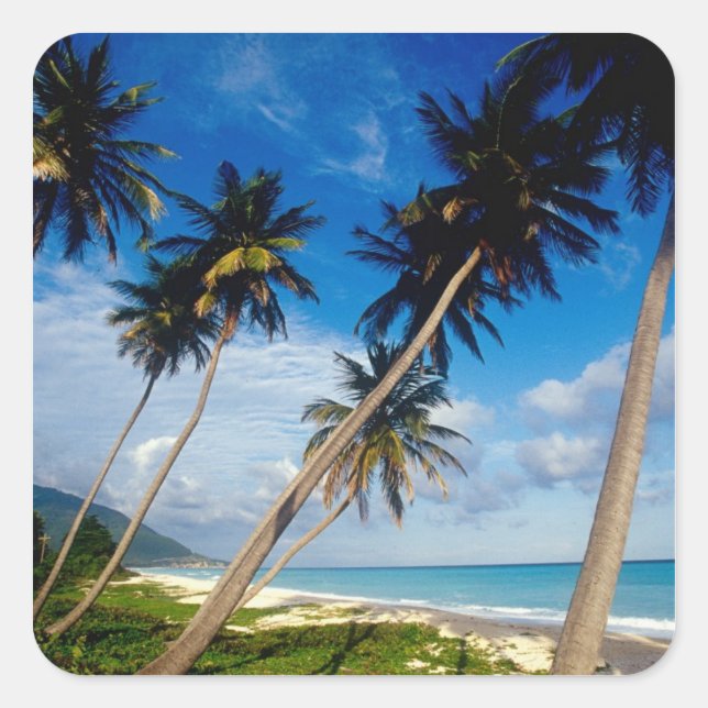 La Samana Peninsula, Dominican Republic, Square Sticker (Front)