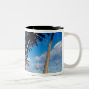 La Samana Peninsula, Dominican Republic, Two-Tone Coffee Mug