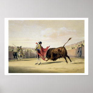 La Suerte de la Capa, 1865 (colour litho) Poster