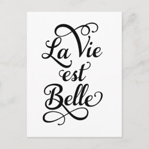 la vie est belle, life is beautiful, French quote Postcard