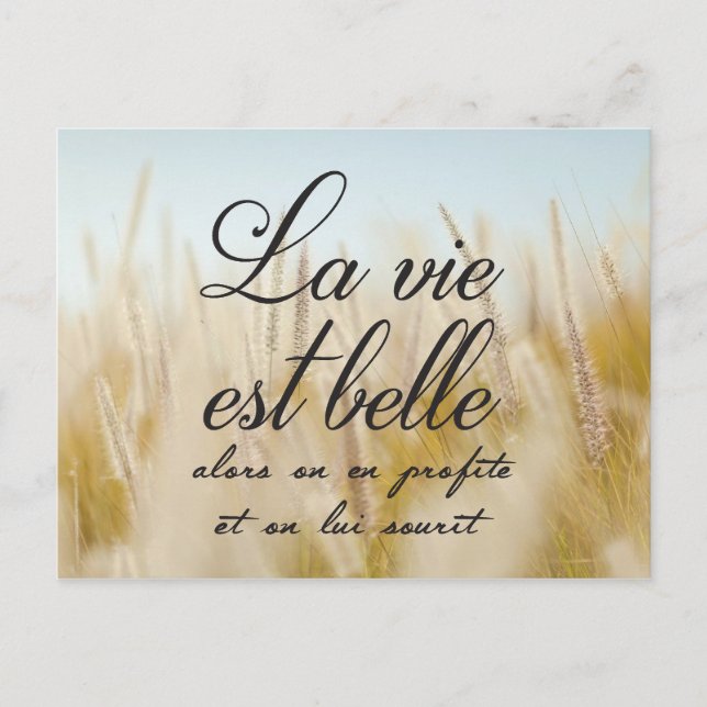 La vie est belle postcard (Front)