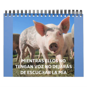 La voz de los animales   Animals voice Calendar