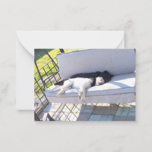 lab group sleeping card