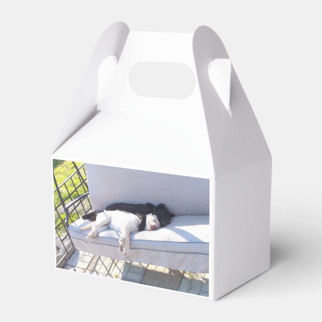 lab group sleeping favour box (Back Side)