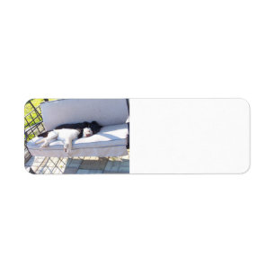 lab group sleeping return address label