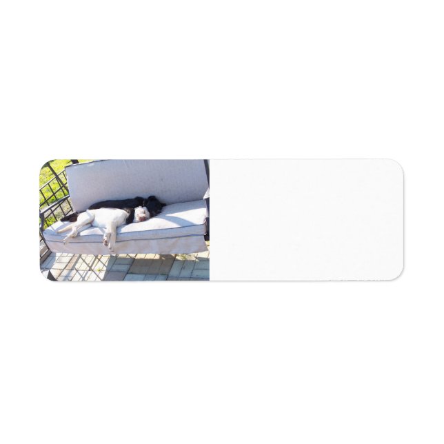 lab group sleeping return address label (Front)