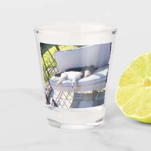 lab group sleeping shot glass