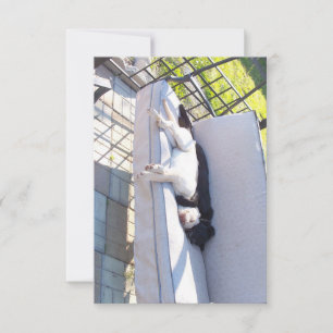 lab group sleeping thank you card