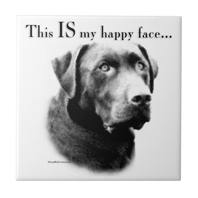 Lab Happy Face Tile (Front)