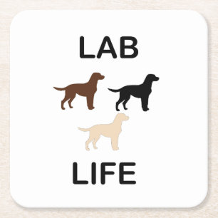 lab life all colour silhouettes square paper coaster
