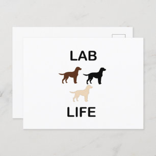 lab life all colours silhouettes postcard